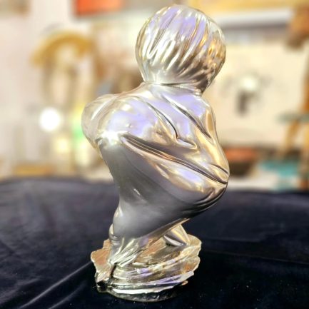 ✨ VENUS ✨
