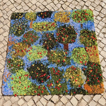 🌿 ✨ THE STRAWBERRY TREES BY SARA MONTEIRO 🔥