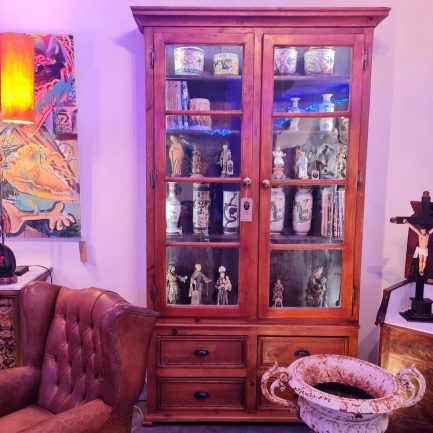 📚 CHARMING RUSTIC BOOKCASE – 19th CENTURY ✨
